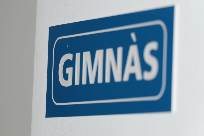 Gimnàs